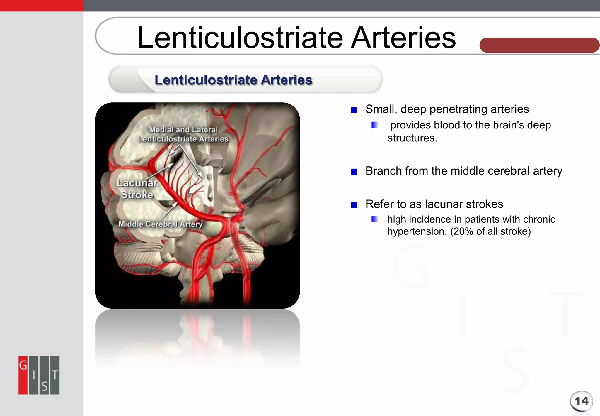 Lenticulostriate Arteries

본 과제의 기본 정보

Lenticulostriate Arteries
Small, deep penetrating arteries
provides blood to the brain's deep
structures.

Branch from the middle cerebral artery
Refer to as lacunar strokes
high incidence in patients with chronic
hypertension. (20% of all stroke)

14

 