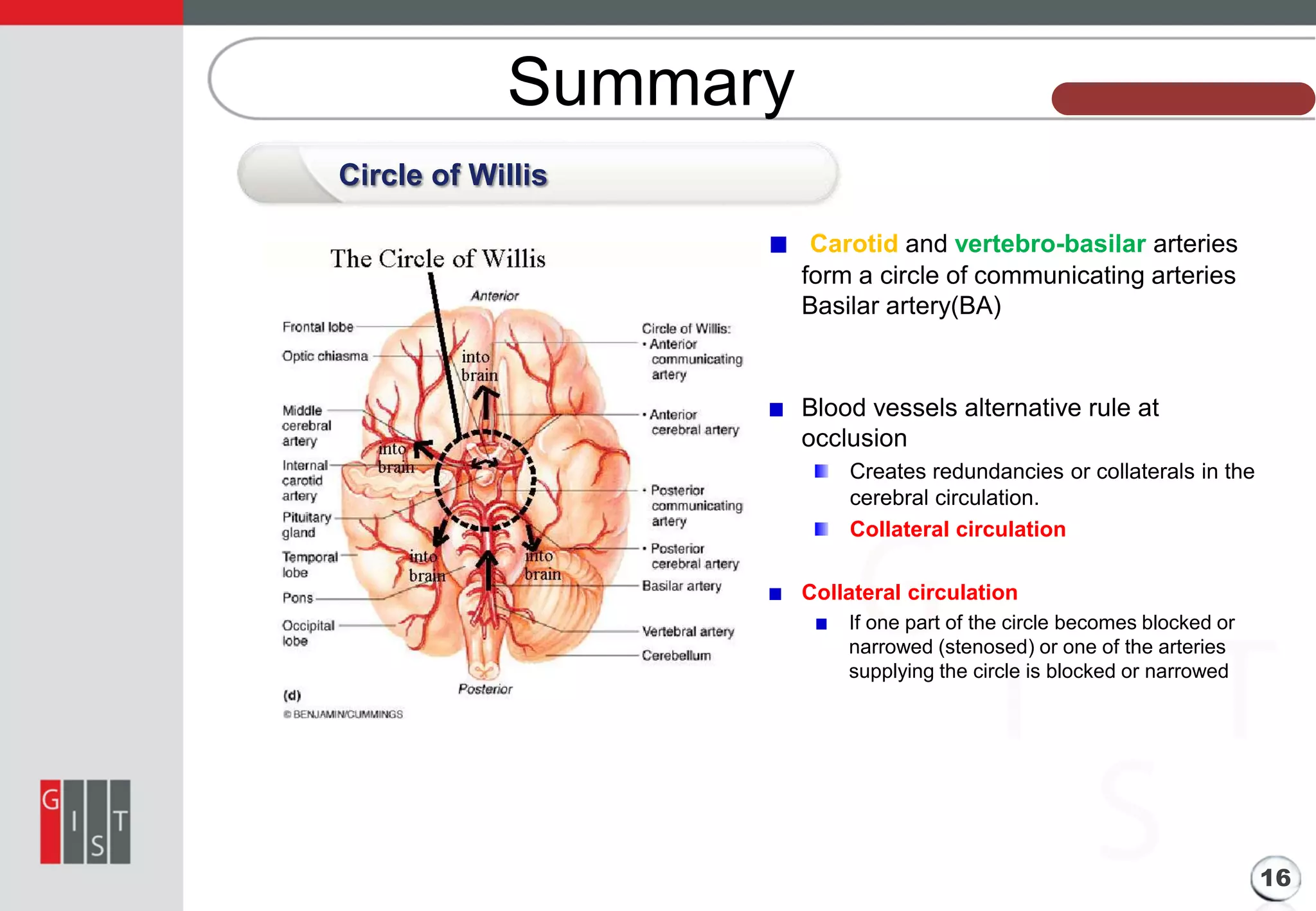 Summary

본 과제의 기본 정보

Circle of Willis
Carotid and vertebro-basilar arteries
form a circle of communicating arteries
Basilar artery(BA)

Blood vessels alternative rule at
occlusion
Creates redundancies or collaterals in the
cerebral circulation.
Collateral circulation
Collateral circulation
If one part of the circle becomes blocked or
narrowed (stenosed) or one of the arteries
supplying the circle is blocked or narrowed

16

 