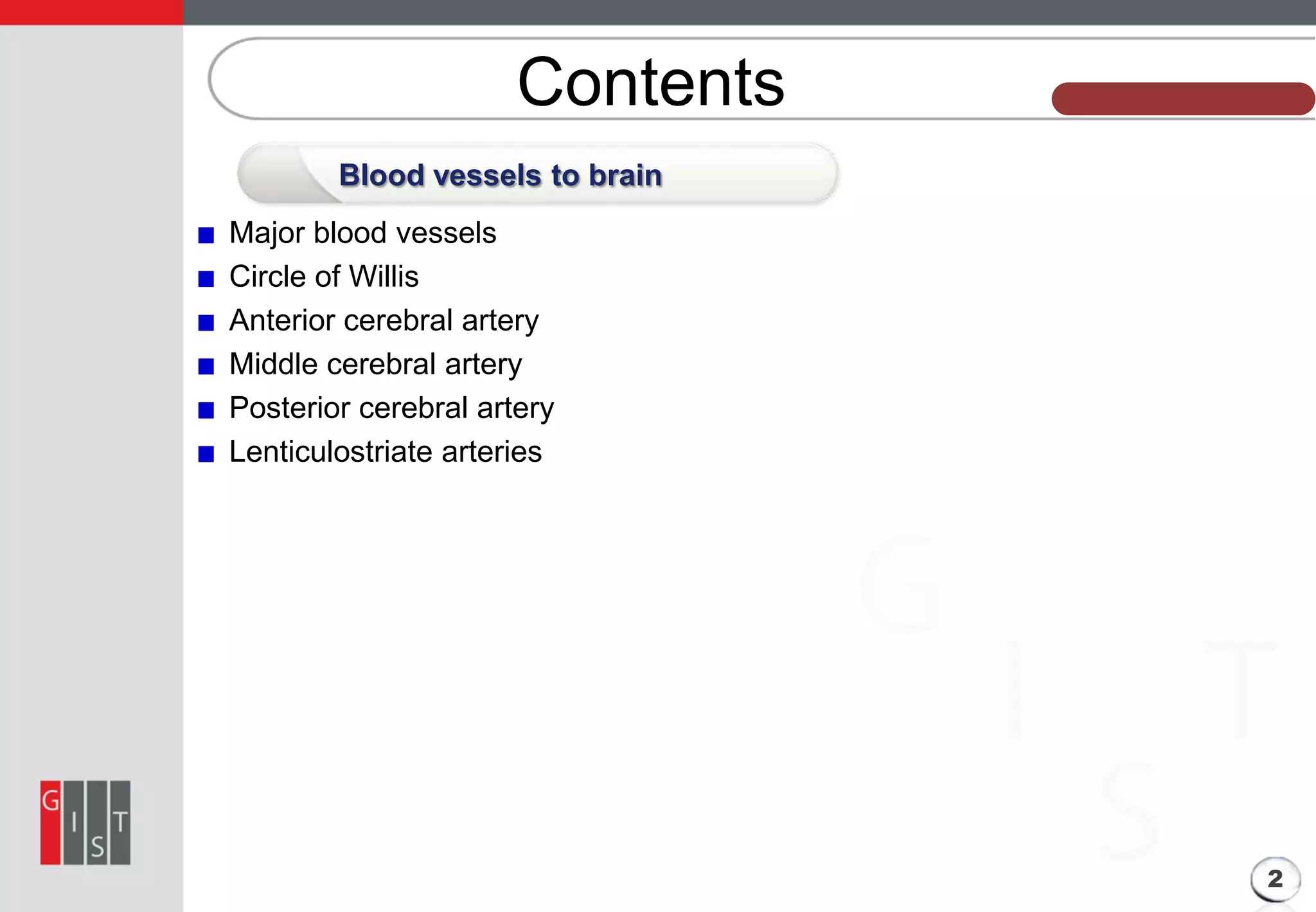Contents

본 과제의 기본 정보

Blood vessels to brain
Major blood vessels
Circle of Willis
Anterior cerebral artery
Middle cerebral artery
Posterior cerebral artery
Lenticulostriate arteries

2

 