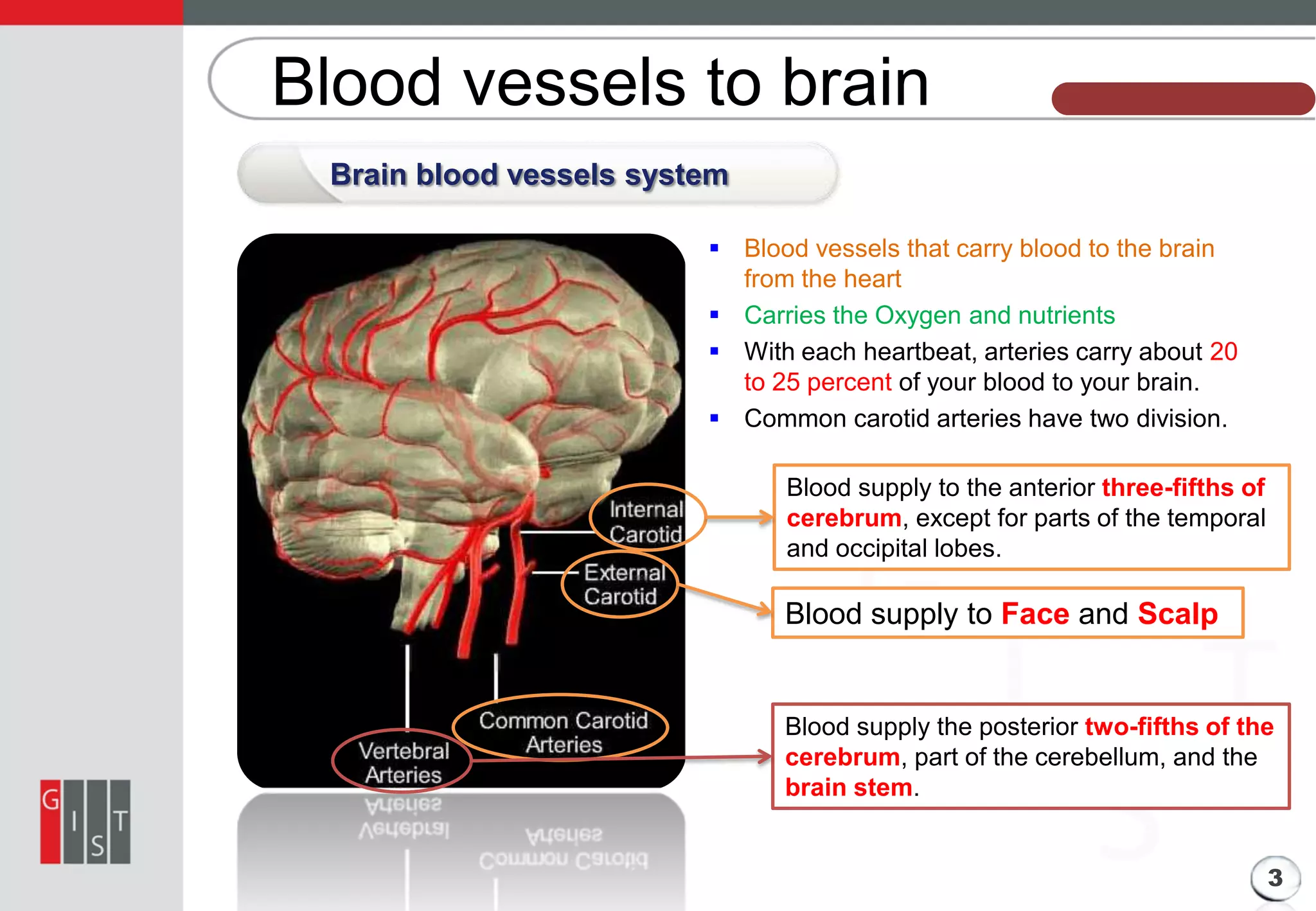 Blood vessels to brain

본 과제의 기본 정보

Brain blood vessels system
 Blood vessels that carry blood to the brain
from the heart
 Carries the Oxygen and nutrients
 With each heartbeat, arteries carry about 20
to 25 percent of your blood to your brain.
 Common carotid arteries have two division.
Blood supply to the anterior three-fifths of
cerebrum, except for parts of the temporal
and occipital lobes.

Blood supply to Face and Scalp

Blood supply the posterior two-fifths of the
cerebrum, part of the cerebellum, and the
brain stem.
3

 