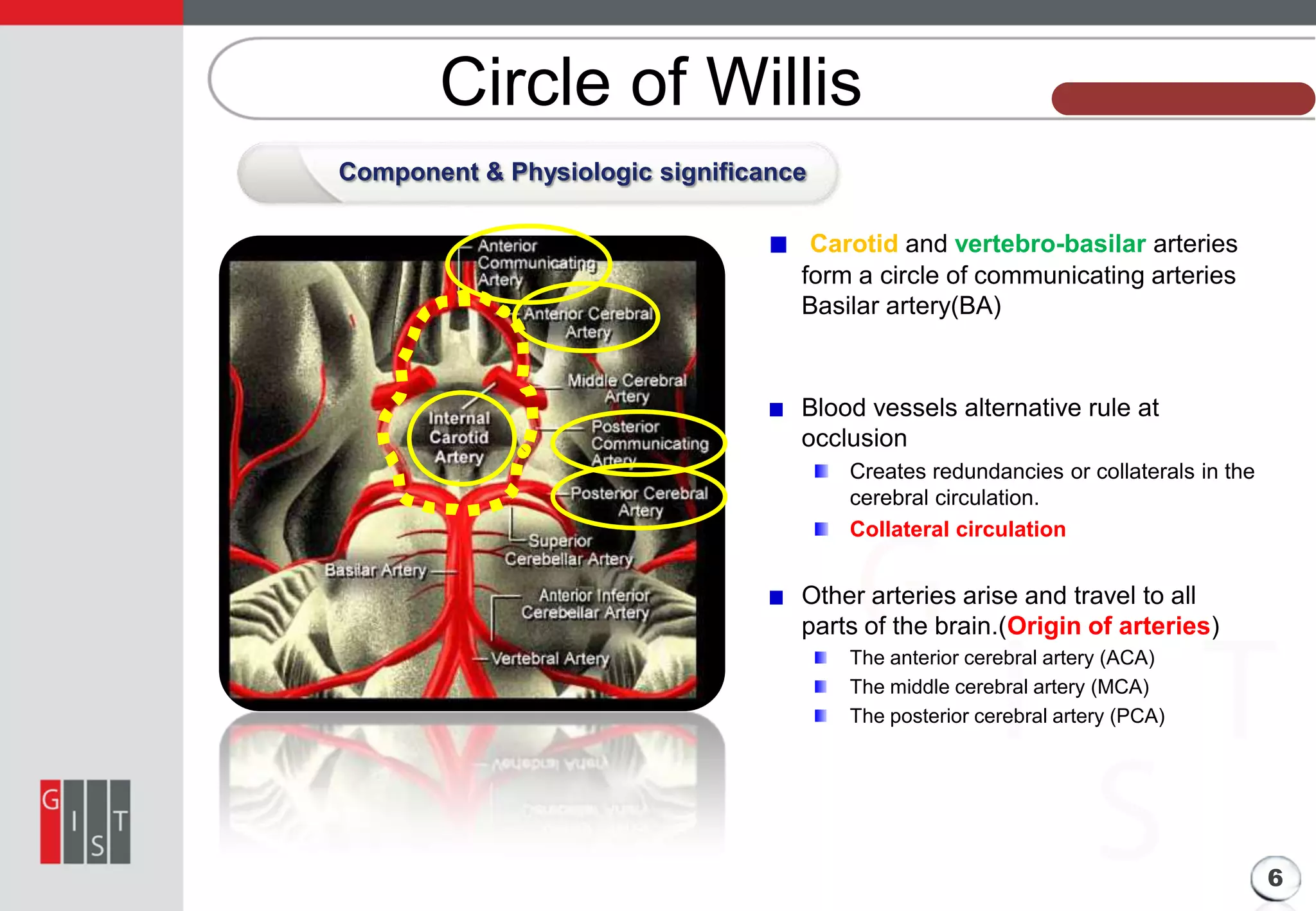 Circle of Willis

본 과제의 기본 정보

Component & Physiologic significance
Carotid and vertebro-basilar arteries
form a circle of communicating arteries
Basilar artery(BA)

Blood vessels alternative rule at
occlusion
Creates redundancies or collaterals in the
cerebral circulation.
Collateral circulation

Other arteries arise and travel to all
parts of the brain.(Origin of arteries)
The anterior cerebral artery (ACA)
The middle cerebral artery (MCA)
The posterior cerebral artery (PCA)

6

 