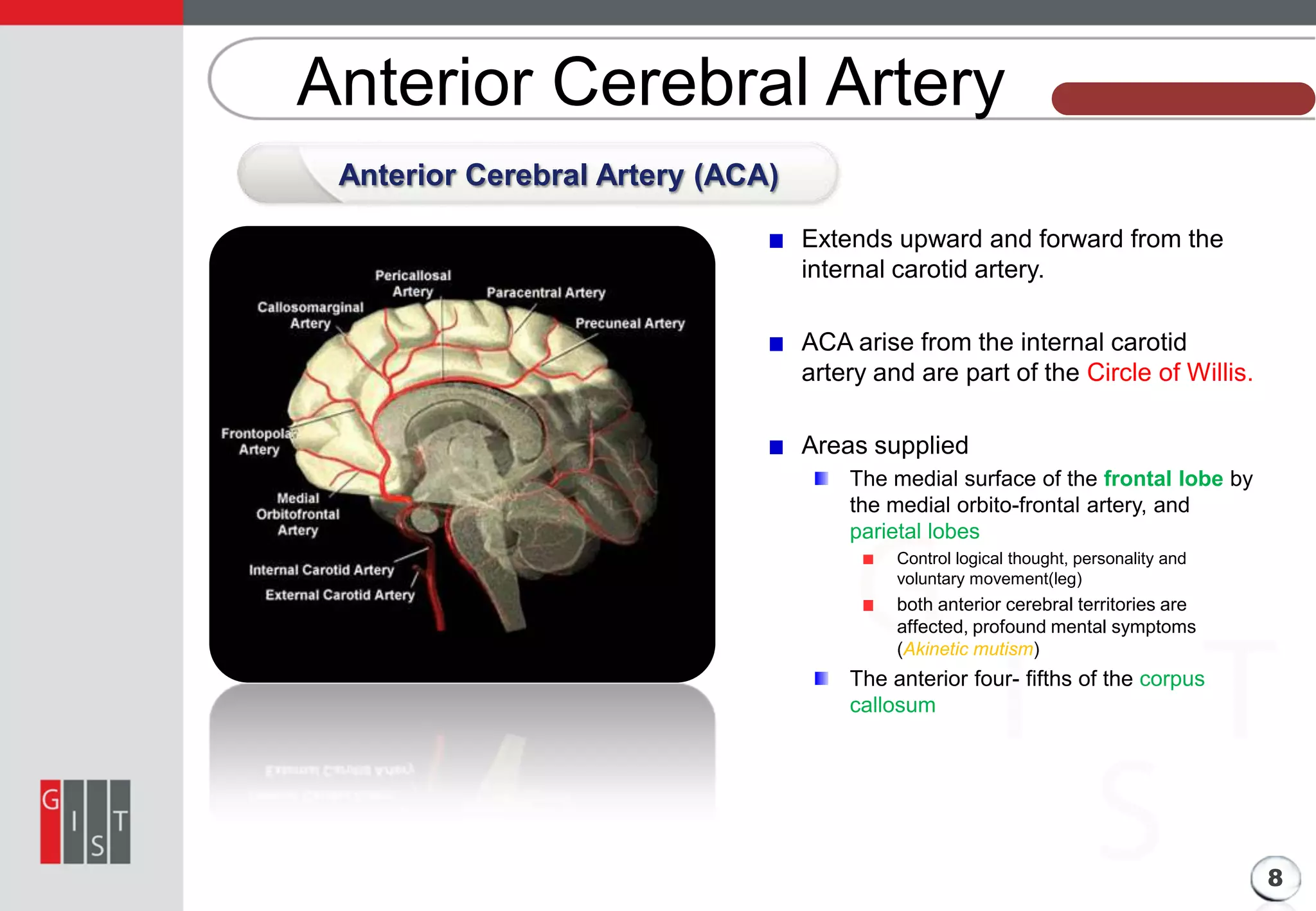 Anterior Cerebral Artery

본 과제의 기본 정보

Anterior Cerebral Artery (ACA)
Extends upward and forward from the
internal carotid artery.
ACA arise from the internal carotid
artery and are part of the Circle of Willis.
Areas supplied
The medial surface of the frontal lobe by
the medial orbito-frontal artery, and
parietal lobes
Control logical thought, personality and
voluntary movement(leg)

both anterior cerebral territories are
affected, profound mental symptoms
(Akinetic mutism)

The anterior four- fifths of the corpus
callosum

8

 