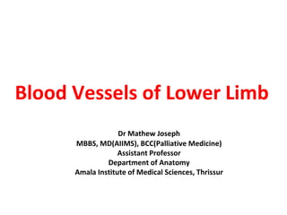 Blood Vessels of Lower Limb
Dr Mathew Joseph
MBBS, MD(AIIMS), BCC(Palliative Medicine)
Assistant Professor
Department of Anatomy
Amala Institute of Medical Sciences, Thrissur
 