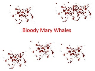 Bloody Mary Whales

 