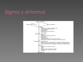 Signos y síntomas 