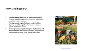 News and Research
• Filtering news by asset class on Bloomberg Terminal:
Targeted news filtering enhances relevance and efficiency
in decision-making process.
• Filtering news by region for better market insights:
Regional news filtering allows for focused analysis of
specific markets and trends.
• Accessing research reports for equity, fixed income, and
macroeconomics: Research reports aid in comprehensive
investment evaluations across diverse asset classes.
Photo by Merve Doruk on Pexels
 