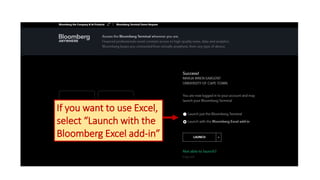 If you want to use Excel,
select “Launch with the
Bloomberg Excel add-in”
 