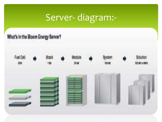 Bloom box ppt | PPTX
