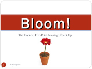 The Essential Five-Point Marriage Check Up
© Mass Ignition1
Bloom!Bloom!
 