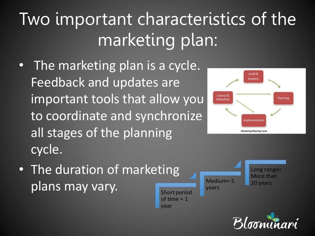 what are the limitations of marketing plan
