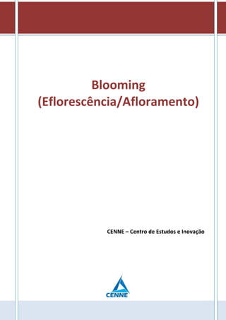 Blooming
(Eflorescência/Afloramento)
CENNE – Centro de Estudos e Inovação
 