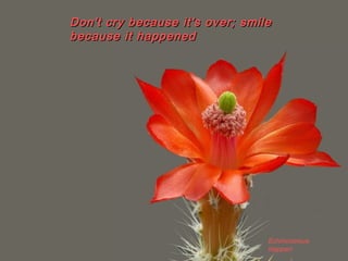 Echinocereus
klapperi
Don't cry because it's over; smileDon't cry because it's over; smile
because it happenedbecause it happened
 