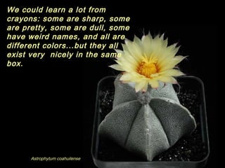 Astrophytum coahuilense
We could learn a lot from
crayons: some are sharp, some
are pretty, some are dull, some
have weird names, and all are
different colors...but they all
exist very nicely in the same
box.
 