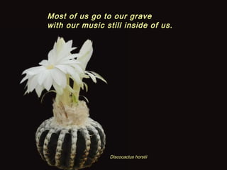 Discocactus horstii
Most of us go to our graveMost of us go to our grave
with our music still inside of us.with our music still inside of us.
 