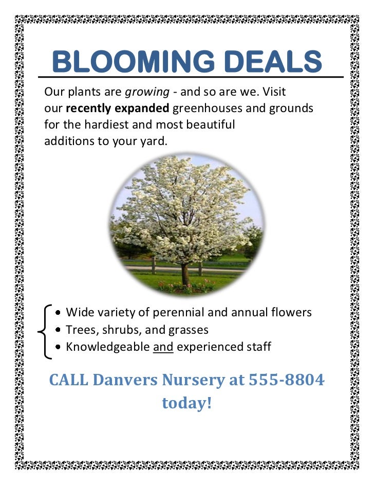 blooming-deals-hamilton-lara
