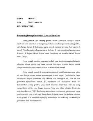 NAMA : PUJIATI
NIM :06121010018
FKIP KIMIA ‘2012
Blooming Eceng Gondok di Daerah Perairan
Eceng gondok atau enceng gondok (Latin:Eichhornia crassipes) adalah
salah satu jenis tumbuhan air mengapung. Selain dikenal dengan nama eceng gondok,
di beberapa daerah di Indonesia, eceng gondok mempunyai nama lain seperti di
daerah Palembang dikenal dengan nama Kelipuk, di Lampung dikenal dengan nama
Ringgak, di Dayak dikenal dengan nama Ilung-ilung, di Manado dikenal dengan
nama Tumpe.
Eceng gondok memiliki kecepatan tumbuh yang tinggi sehingga tumbuhan ini
dianggap sebagai gulma yang dapat merusak lingkungan perairan. Eceng gondok
dengan mudah menyebar melalui saluran air ke badan air lainnya.
Eceng gondok tumbuh di kolam-kolam dangkal, tanah basah dan rawa, aliran
air yang lambat, danau, tempat penampungan air dan sungai. Tumbuhan ini dapat
beradaptasi dengan perubahan yang ekstrem dari ketinggian air, arus air, dan
perubahan ketersediaan nutrien, pH, temperatur dan racun-racun dalam air.
Pertumbuhan eceng gondok yang cepat terutama disebabkan oleh air yang
mengandung nutrien yang tinggi, terutama yang kaya akan nitrogen, fosfat dan
potasium (Laporan FAO). Kandungan garam dapat menghambat pertumbuhan eceng
gondok seperti yang terjadi pada danau-danau di daerah pantai Afrika Barat, di mana
eceng gondok akan bertambah sepanjang musim hujan dan berkurang saat kandungan
garam naik pada musim kemarau.
 