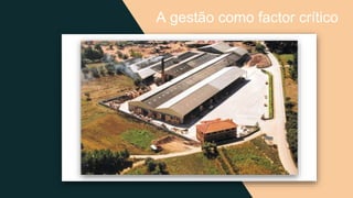 A gestão como factor crítico
 