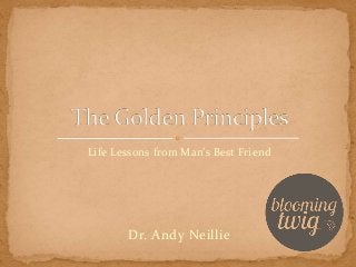 Life Lessons from Man’s Best Friend 
Dr. Andy Neillie 
 