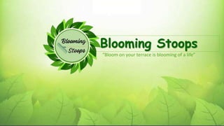 Blooming Stoops
“Bloom on your terrace is blooming of a life”
 