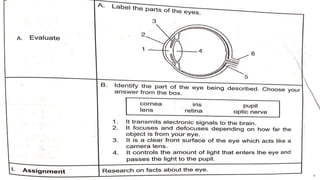BLOOMS-TAXONOMY-OF-OBJECTIVES.pptx