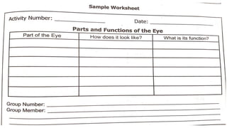 BLOOMS-TAXONOMY-OF-OBJECTIVES.pptx