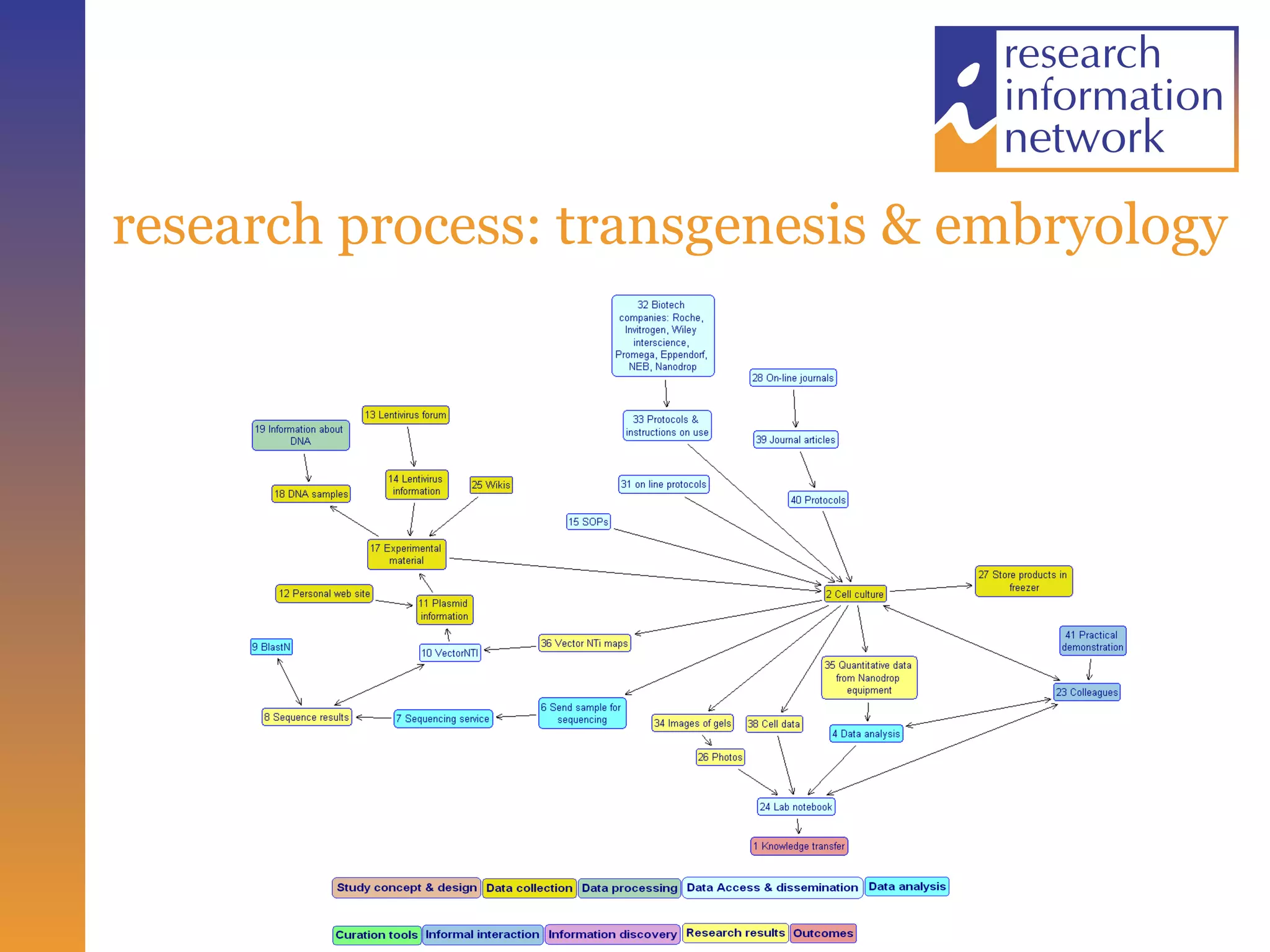 research process: transgenesis & embryology 