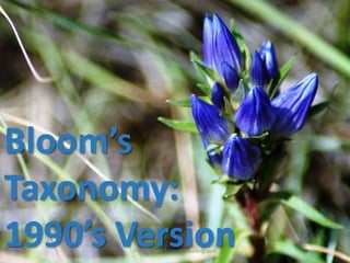 Bloom’s
Taxonomy:
1990’s Version
       Photographs (c)LtoJConsulting.com
 