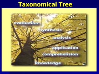 Taxonomical Tree
 