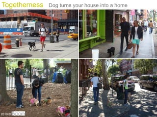 Togetherness   Dog turns your house into a home




                                                  15
2010 ?
 