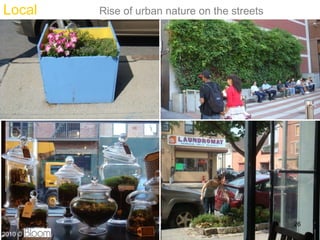 Local    Rise of urban nature on the streets




                                               26
2010 ?
 