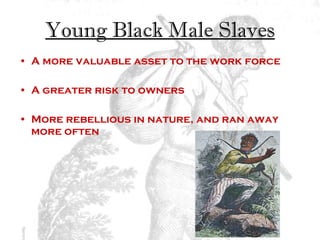 Young Black Male Slaves A more valuable asset to the work force  A greater risk to owners  More rebellious in nature, and ran away more often   