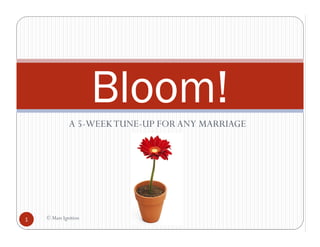 Bloom!
              A 5-WEEK TUNE-UP FOR ANY MARRIAGE




1   © Mass Ignition
 