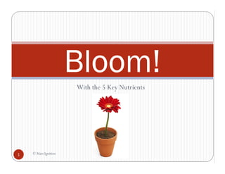 Bloom!
                      With the 5 Key Nutrients




1   © Mass Ignition
 
