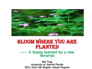 Bloom Where You Are Planted --- A lesson learned by a new librarian Min Tong University of Central Florida 2011 CALA SE Chapter Annual Program 