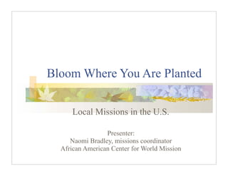 Bloom Where You Are Planted

      Local Missions in the U.S.

                 Presenter:
     Naomi Bradley, missions coordinator
  African American Center for World Mission
 