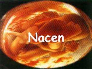 Nacen