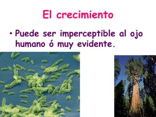 El crecimientoPuede ser imperceptible al ojo humano ó muy evidente.