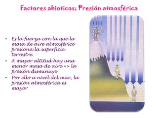 Factores abioticos; Presión atmosféricaEs la fuerza con la que la masa de aire atmosférico presiona la superficie terrestre.A mayor altitud hay una menor masa de aire => la presión disminuyePor ello a nivel del mar, la presión atmosférica es mayor