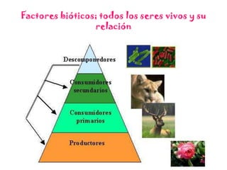 Factores bióticos; todos los seres vivos y su relación