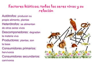 Factores bióticos; todos los seres vivos y su relaciónAutótrofos: producen supropio alimento, plantasHeterótrofos: se alimentande otros seres vivosDescomponedores: degradanla materia viva Productores: plantas, sonla baseConsumidores primarios:hervívorosConsumidores secundarios:carnívoros