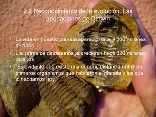 2.2 Reconocimiento de la evolución: Las aportaciones de DarwinLa vida en nuestro planeta apareció hace 4,000 millones de añosLos primeros dinosaurios aparecieron hace 320 millones de años“Es evidente que existe una enorme distancia entre los primeros organismos que habitaron el planeta y los que lo habitamos hoy”