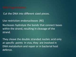 DNA Fragmentation
Cut the DNA into different sized pieces.
Use restriction endonucleases (RE)
Nucleases hydrolyze the bonds that connect bases
within the strand, resulting in cleavage of the
strand.
They cleave the double stranded nucleic acid only
at specific points In vivo, they are involved in
DNA metabolism and repair or in bacterial host
defence.
 