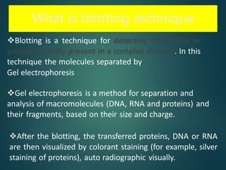 What is blotting technique
Blotting is a technique for detecting DNA, RNA or
proteins initially present in a complex mixture. In this
technique the molecules separated by
Gel electrophoresis
Gel electrophoresis is a method for separation and
analysis of macromolecules (DNA, RNA and proteins) and
their fragments, based on their size and charge.
After the blotting, the transferred proteins, DNA or RNA
are then visualized by colorant staining (for example, silver
staining of proteins), auto radiographic visually.
 