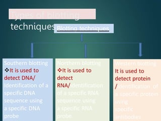 Blotting techniques
Southern blotting
It is used to
detect DNA/
Identification of a
specific DNA
sequence using
a specific DNA
probe
Western blotting
It is used to
detect protein
/Identification of
a specific protein
using
specific
antibodies
Northern blotting
It is used to
detect
RNA/Identification
of a specific RNA
sequence using
a specific RNA
probe.
Types of blotting
techniques
 