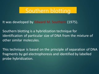 It was developed by Edward M. Southern (1975).
Southern blotting is a hybridization technique for
identification of particular size of DNA from the mixture of
other similar molecules.
This technique is based on the principle of separation of DNA
fragments by gel electrophoresis and identified by labelled
probe hybridization.
Southern blotting
 