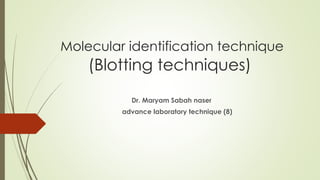Molecular identification technique
(Blotting techniques)
Dr. Maryam Sabah naser
advance laboratory technique (8)
 