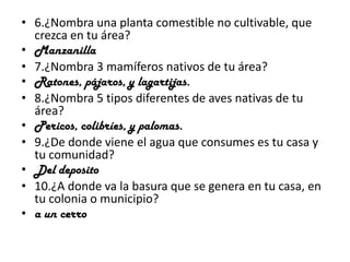 • 6.¿Nombra una planta comestible no cultivable, que
crezca en tu área?
• Manzanilla
• 7.¿Nombra 3 mamíferos nativos de tu área?
• Ratones, pájaros, y lagartijas.
• 8.¿Nombra 5 tipos diferentes de aves nativas de tu
área?
• Pericos, colibríes, y palomas.
• 9.¿De donde viene el agua que consumes es tu casa y
tu comunidad?
• Del deposito
• 10.¿A donde va la basura que se genera en tu casa, en
tu colonia o municipio?
• a un cerro
 