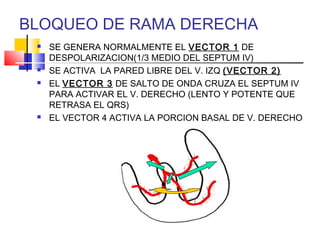 BLOQUEO DE RAMA DERECHA
 SE GENERA NORMALMENTE EL VECTOR 1 DE
DESPOLARIZACION(1/3 MEDIO DEL SEPTUM IV)
 SE ACTIVA LA PARED LIBRE DEL V. IZQ (VECTOR 2)
 EL VECTOR 3 DE SALTO DE ONDA CRUZA EL SEPTUM IV
PARA ACTIVAR EL V. DERECHO (LENTO Y POTENTE QUE
RETRASA EL QRS)
 EL VECTOR 4 ACTIVA LA PORCION BASAL DE V. DERECHO
 