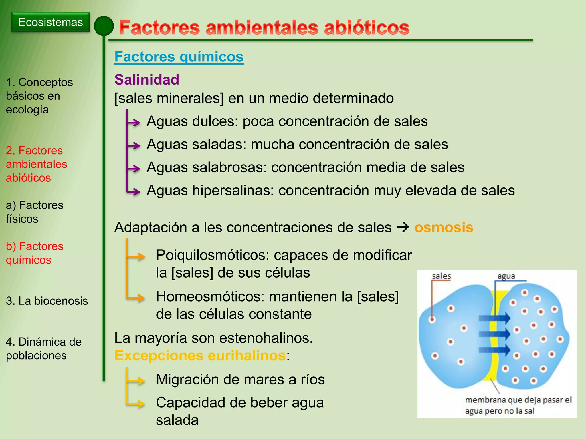 Biolog a PAU Ecolog a Los Ecosistemas ESP PPT biolog-a-pau-ecolog-a-los-ecosistemas-esp-ppt