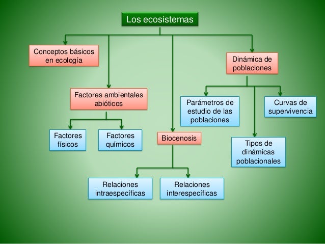 Biología PAU. Ecología. Los ecosistemas. ESP